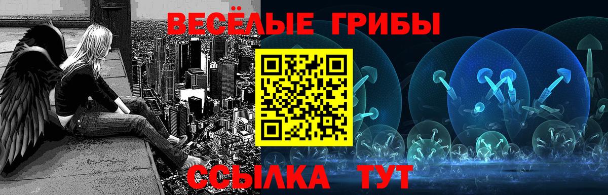 Луга  Псилоцибиновые грибы мицелий  Вход с VPN 